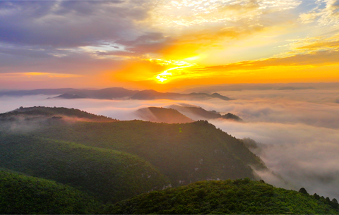 Zezhou: A Sea of Clouds at Fushan—A Picture-Perfect Scene